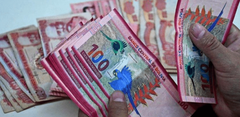 Más de 1,8 millones de personas ya recibieron el Bono Pepe: todavía está disponible un pago de Bs 450