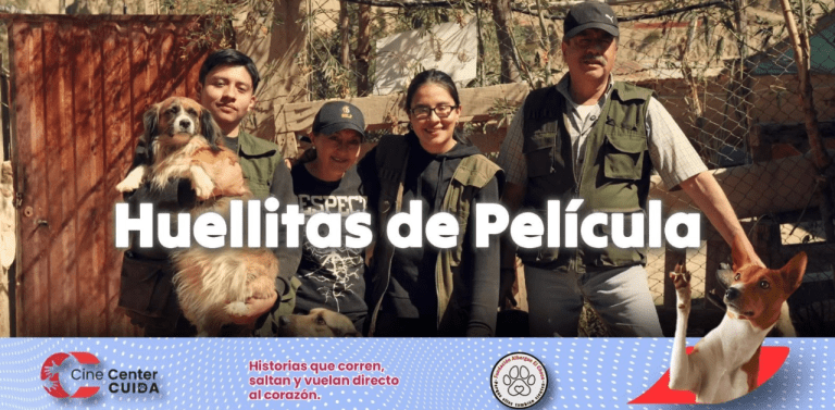 Cine Center Cuida convierte una función de cine en una oportunidad para ayudar a perros rescatados